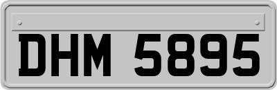 DHM5895
