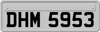 DHM5953