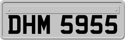 DHM5955