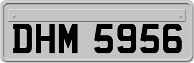 DHM5956