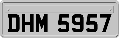 DHM5957