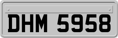 DHM5958