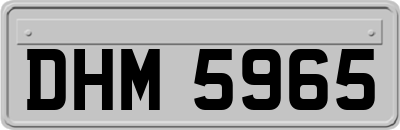 DHM5965