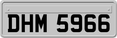DHM5966