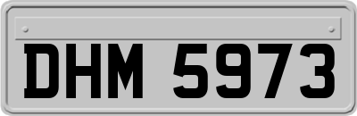 DHM5973