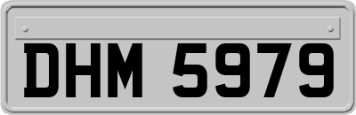 DHM5979