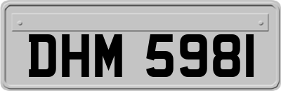 DHM5981