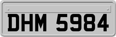 DHM5984