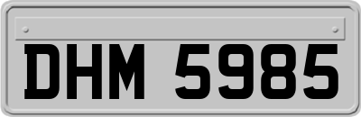 DHM5985