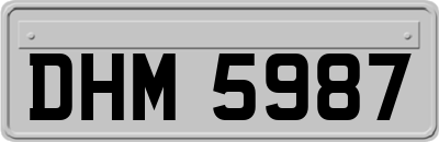 DHM5987