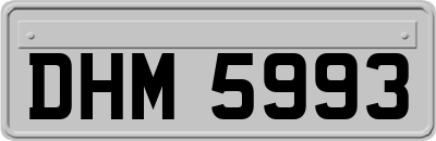 DHM5993
