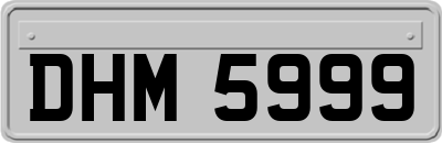 DHM5999