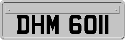 DHM6011