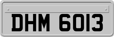 DHM6013