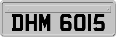 DHM6015