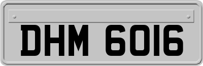 DHM6016