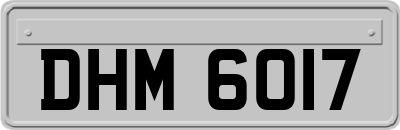 DHM6017