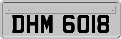 DHM6018