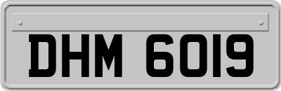 DHM6019