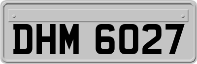 DHM6027