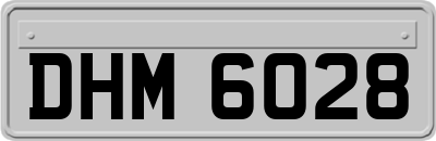 DHM6028