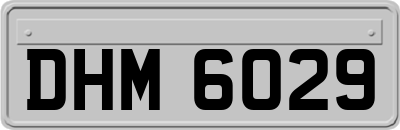 DHM6029