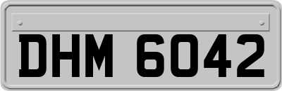 DHM6042
