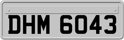 DHM6043