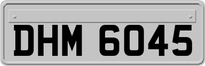 DHM6045