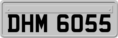 DHM6055