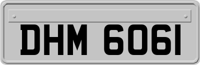 DHM6061