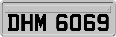 DHM6069