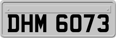 DHM6073