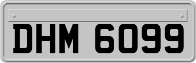 DHM6099