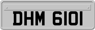 DHM6101