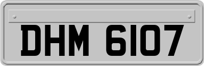 DHM6107