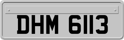 DHM6113