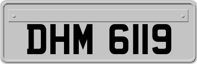 DHM6119