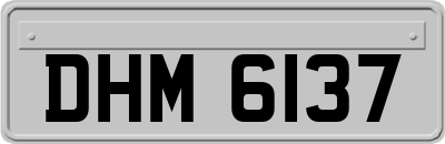 DHM6137