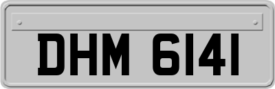 DHM6141