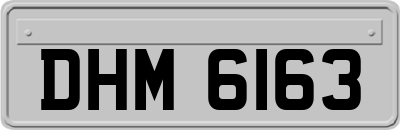 DHM6163