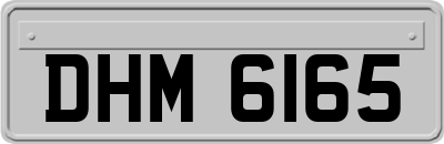 DHM6165