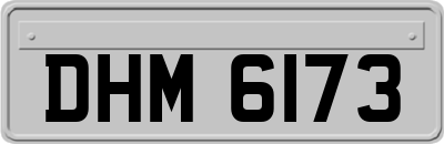 DHM6173