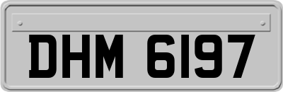 DHM6197