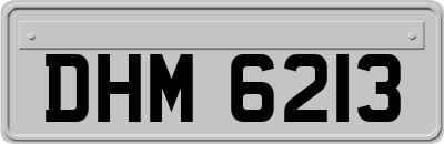 DHM6213