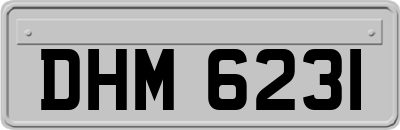 DHM6231
