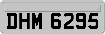 DHM6295