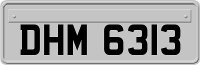 DHM6313