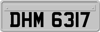 DHM6317
