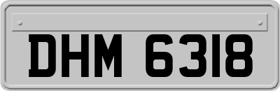 DHM6318